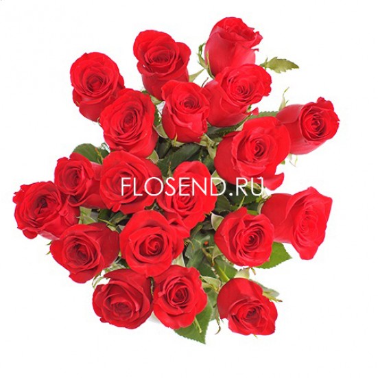 Букет «15 красных роз в упаковке» - фото 3